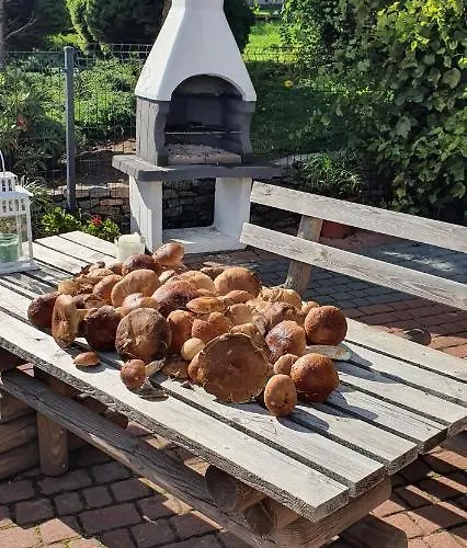 Apartament Wiwiana * Sarnowy